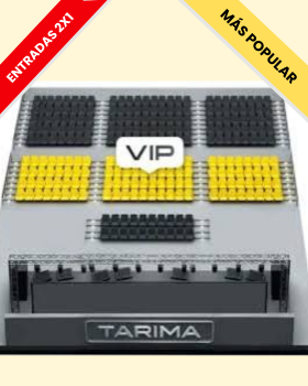Entrada VIP